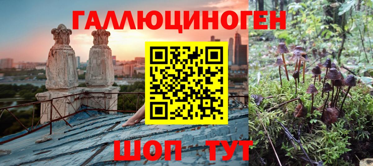 Псилоцибиновые грибы мухоморы Видное