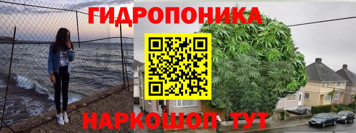 Канабис планчик Видное